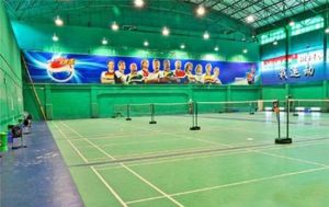翼之羽羽毛球運動中心 翼之羽羽毛球運動中心