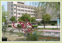 曹甸高級中學 曹甸高級中學