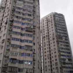 洪武高層 洪武高層