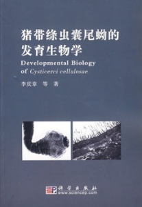 豬帶條蟲囊尾蚴的發育生物學 豬帶條蟲囊尾蚴的發育生物學