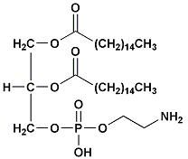 甘油磷醯乙醇胺 甘油磷醯乙醇胺