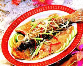 鳳尾金魚 鳳尾金魚