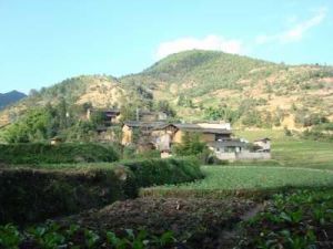 下泥箐村 下泥箐村