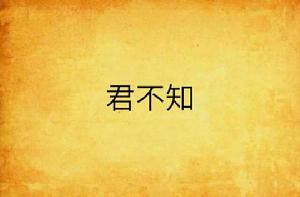 君不知[網路小說]