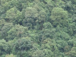 新合新村 新合新村