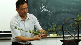 秦雷[首批中國插花花藝大師]