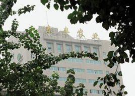 秦豐農業 秦豐農業