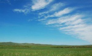 呼倫貝爾草甸草原 呼倫貝爾草甸草原