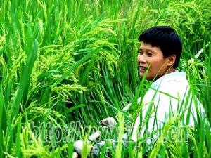 （圖）仙回瑤族鄉