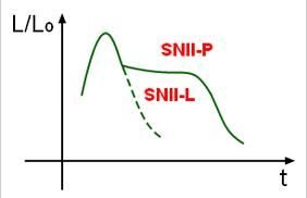 這張圖是光度（相對於太陽）對時間的函式，顯示出II-L超新星和II-P超新星的光度曲線特徵