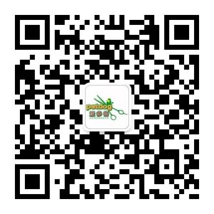 派多格寵物美容學校地址