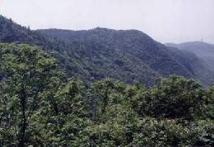 劉家場鎮 劉家場鎮