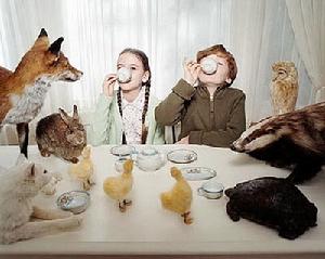 辦公室“動物”法則