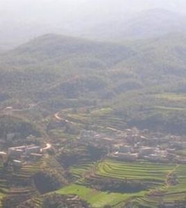 大松樹鄉 大松樹鄉