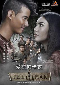 愛在帕卡農 愛在帕卡農