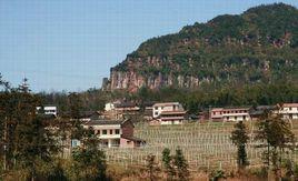 四面山鎮[四川省宜賓市江安縣四面山鎮]