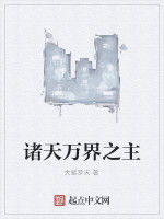 諸天萬界之主 諸天萬界之主
