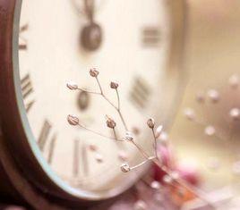 紅顏已逝 紅顏已逝