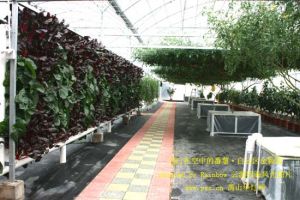 廣州金穎園農科旅遊度假區 廣州金穎園農科旅遊度假區