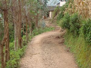 可保大村 可保大村