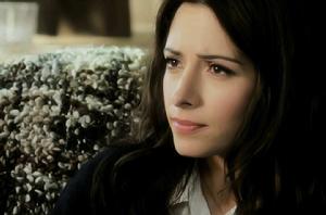 薩拉·夏希 薩拉·夏希