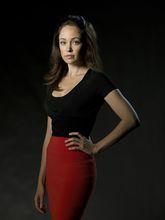 破釜沉舟[美國2012年安德魯·布勞爾主演電視劇]