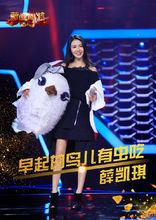 早起的鳥兒有蟲吃——薛凱琪