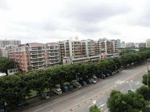 江門貫溪村 江門貫溪村