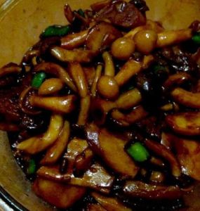 雙菇會爭鳴 雙菇會爭鳴