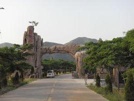 河南怪坡 河南怪坡