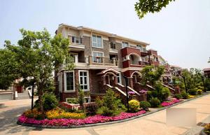 天鵝堡歸墅樓盤實景圖