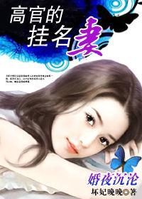 婚夜沉淪：高官的掛名妻