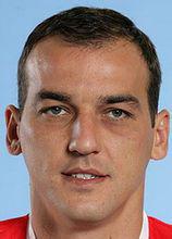 達爾科科瓦切維奇 達爾科科瓦切維奇