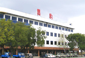 東安黑豹股份有限公司