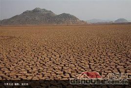 赤地千里 赤地千里