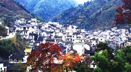 芳村村[安徽省黃山市黃山區湯口鎮下轄村]