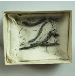 新石器時代良渚文化棕刷