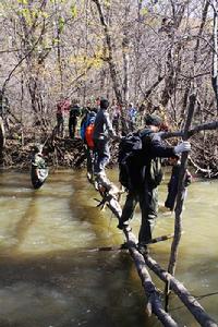上游林場 上游林場