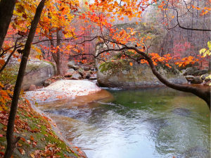 黃椅山森林公園