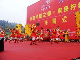 安岳檸檬節 安岳檸檬節