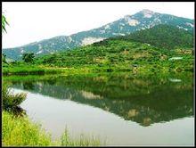 里口山森林公園