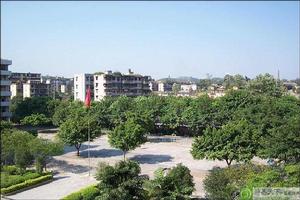 韶關市第十三中學 韶關市第十三中學