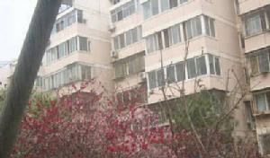 傅佐路小區 傅佐路小區