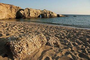 濱州貝殼堤島與濕地國家級自然保護區 濱州貝殼堤島與濕地國家級自然保護區