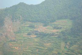 長麻園村 長麻園村