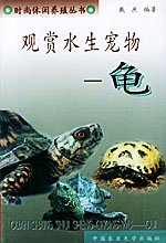 觀賞水生寵物：龜