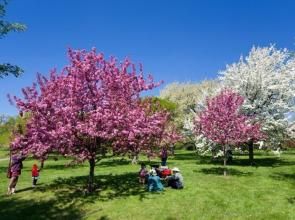 克斯騰伯斯國家植物公園 克斯騰伯斯國家植物公園