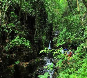 拉溝自然保護區 拉溝自然保護區