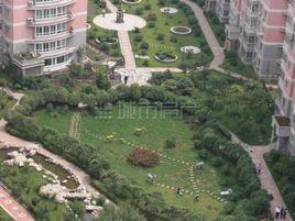 金苑華城 金苑華城