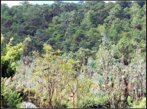 寅街後海村 寅街後海村